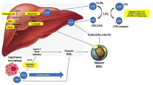 对比他汀，PCSK9抑制剂不但降脂更强还有4大优势，更好保护心血管