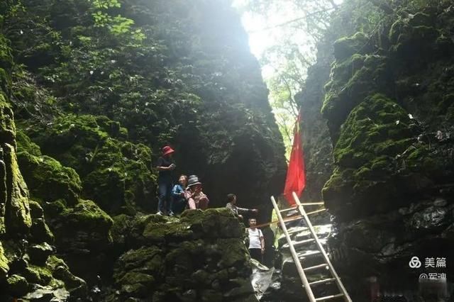 岩壁|探秘鬼斧神工的汉中“大屋基”地缝峡谷，秦巴深处的地质奇观