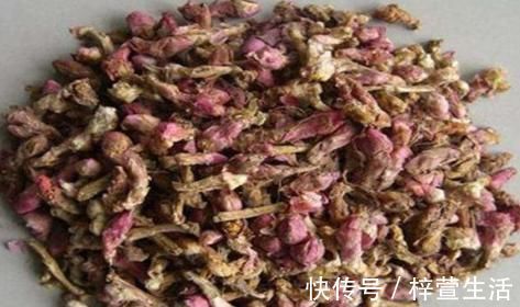 干咳|痰多咳嗽还是干咳?新咳还是久咳不止?老中医:此味中药可帮上你