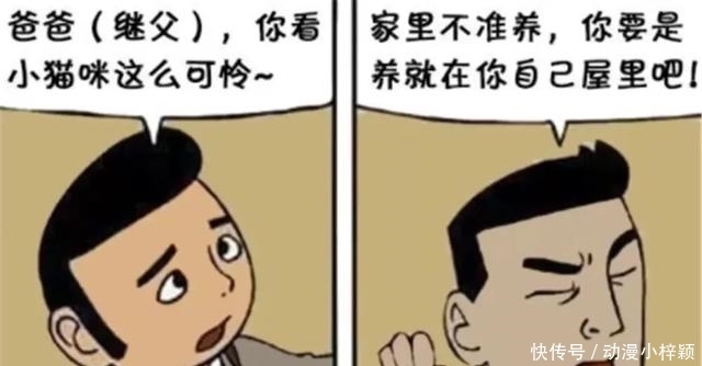 回家|搞笑漫画：男孩捡了一只小动物回家，5年后，爸爸突然失踪了！