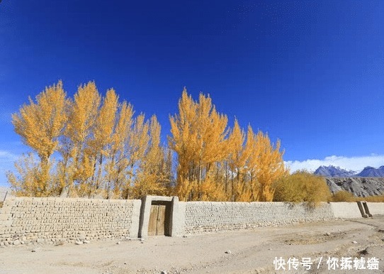 老年|中国最有头脑的治沙人, 8年植树反赚近千亿, 蚂蚁森林也是学他的