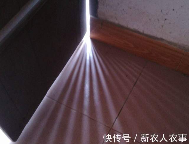 小女孩|山东一奶奶火了，小孙女贪玩屡教不改，一个神操作立刻解决