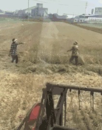 |搞笑GIF:伴娘你可真是有心计啊,这样藏鞋子谁能找得到啊