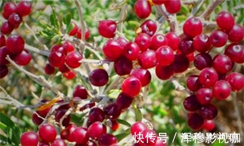 排毒|人到中年想长寿,多吃3种食物,排毒抗菌、降压减脂,增强抵抗力