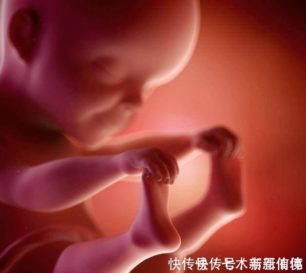 坏事|四维做到一半,小家伙竟然在妈妈腹中干“坏事”,连医生都乐了