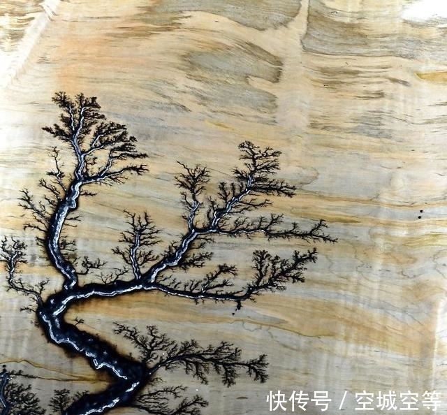 高尔夫球场#30张“活久未见”的照片:被闪电击中的木头,好像一副国画