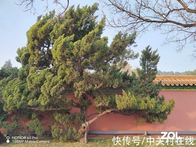 骁龙|不止外观有惊喜 四大亮点看荣耀60系列