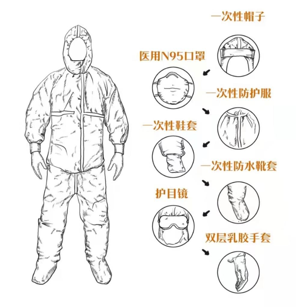 眼儿|一份核酸检测报告是怎样诞生的？漫画揭秘全过程——