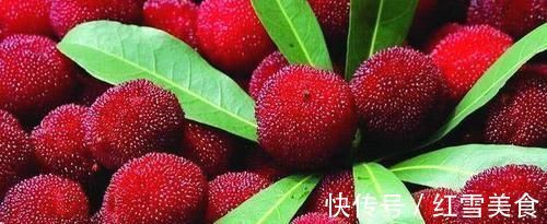 清热解毒|慢性咽炎患者,试试每天喝杯“它” ,杀菌灭毒,告别炎症困扰