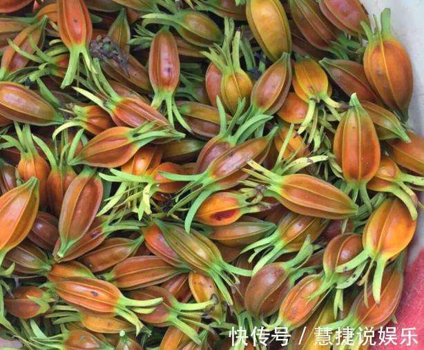 泡水|晚上易失眠多梦用此物泡水，睡前来一杯，告别失眠，远离黑眼圈