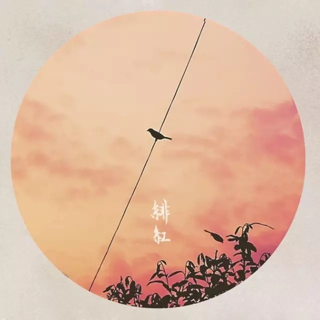 不知|金庸:情不知所起,一往情深