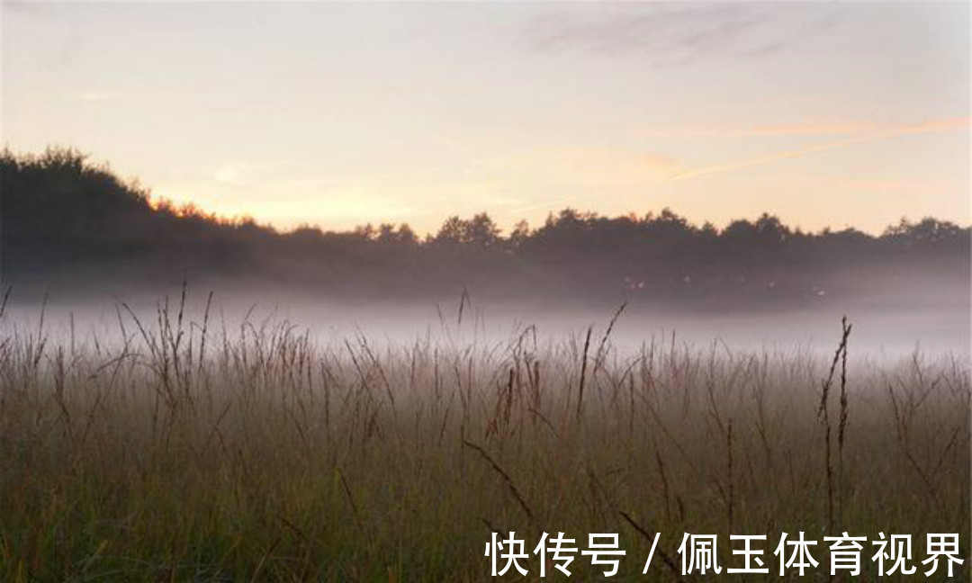 秋夜独坐@王维晚年写下的这首禅诗,通篇意境高远,同时每一句都有大智慧!