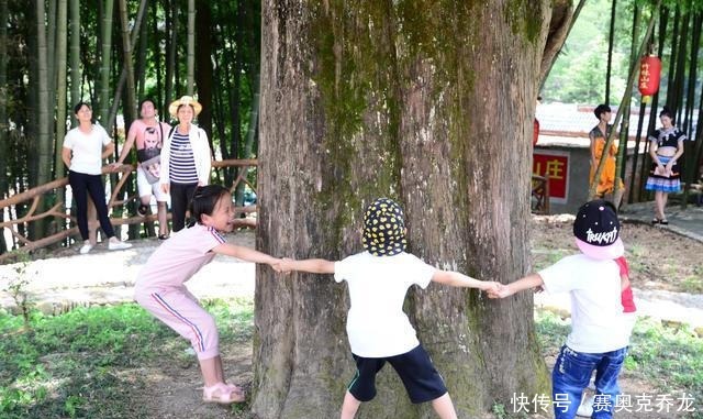 夏日|周末自驾广东海拔最高的千年古瑶寨，夏日独享22度的生活！