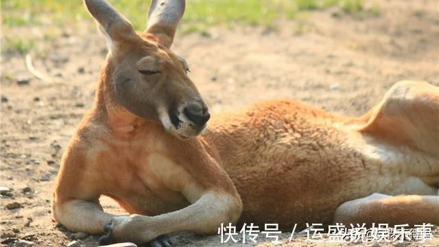 25个冷知识：书本上很少出现，但却使人渊博的有趣知识