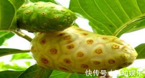 天门东素|人到中年想长寿，要学会吃的食物，保护肝脏，清理血管垃圾