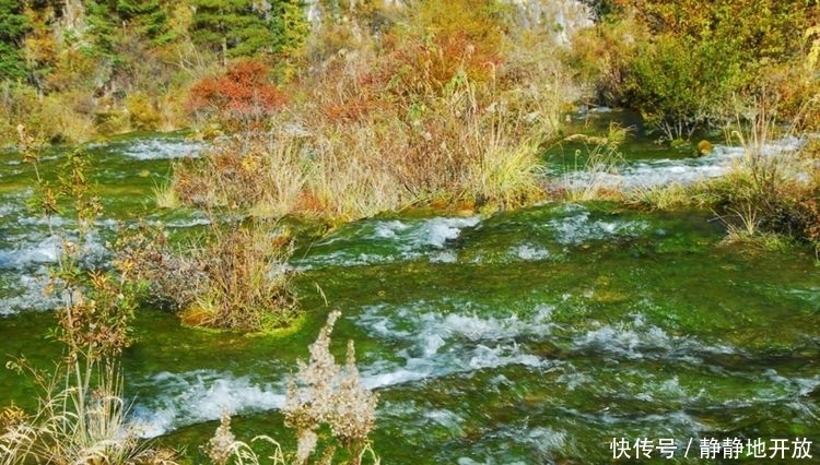 九寨沟|九寨沟最美的季节 你一定要去看一看