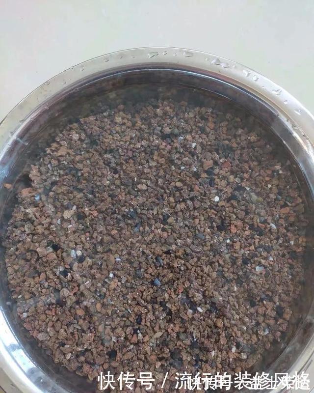 花盆|花盆里垫点底料，根壮叶绿状态好，爆盆真简单