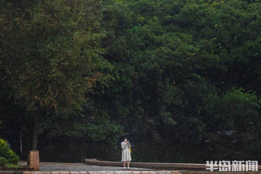 雨中漫步八大关