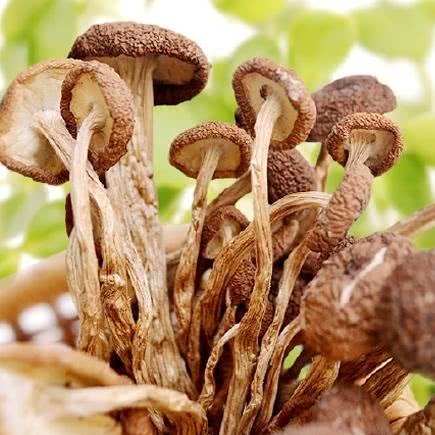 黄体酮|天然的“黄体酮”找到了，女人经常吃一点，调理乳腺远离增生