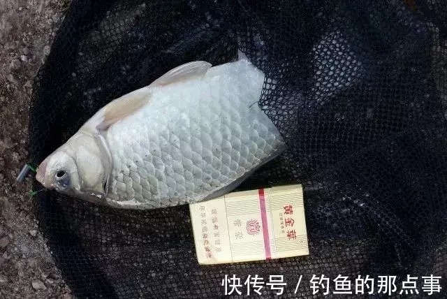 水温|冬天钓鱼，出鱼的钓点怎么选？有四个原则