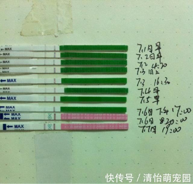 排卵日|小夫妻无法生育,领养的女孩越来越像妻子,基因检测后全家欢喜