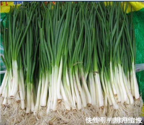 大葱|香葱买多了该如何保存菜农教你这一招，放半年香葱都不坏