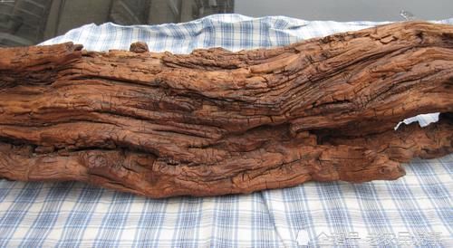 二是雷击|经常有人来农村收雷击枣木,雷击枣木很值钱吗?如何去辨别真假?