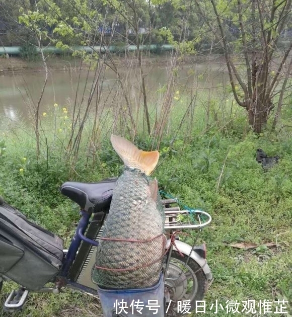 垂钓|壮观!广西一河道数百名钓鱼人挤坐一起,垂钓盛行是消费降级?