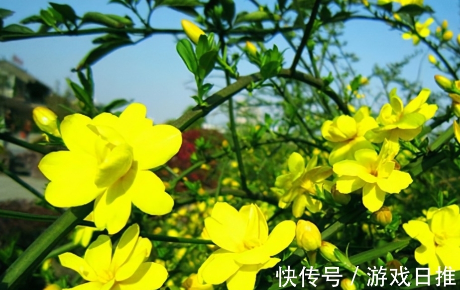 柳永!欧阳修高水平的10首诗词排行,《生查子 元夕》仅第二,第一是?