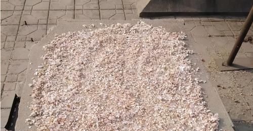 拿到蛋壳别急着养花，按“这要求”处理，给植物施肥才不出问题