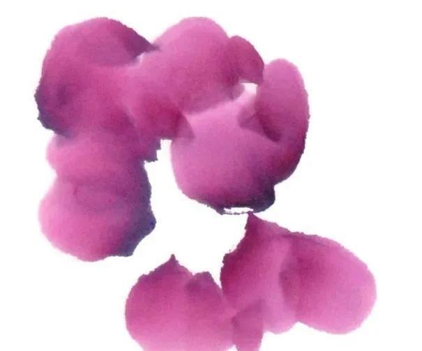 形态|紫、红牡丹花头写意画法与形态参考