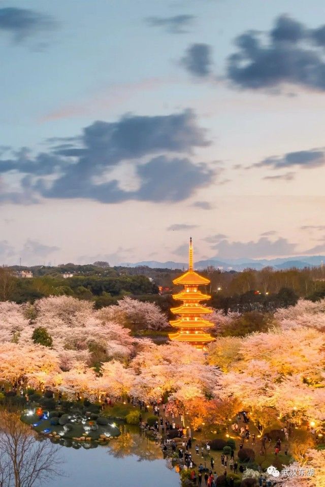 花开好了，等你!