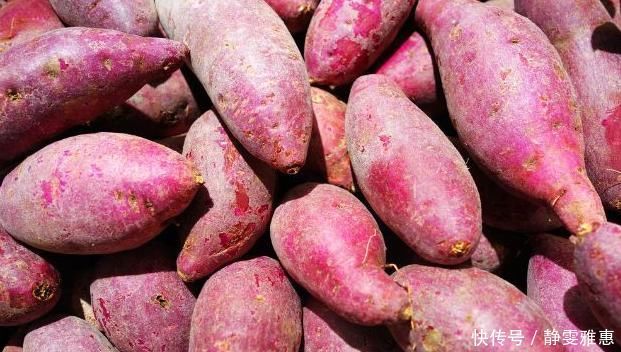 此物|红薯吃完不能碰什么？医生忠告：切莫碰此物，别还傻傻不明白