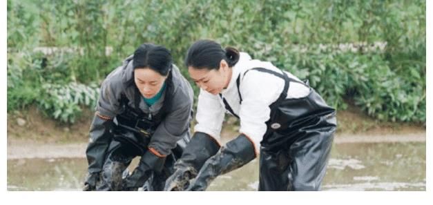 陈赫|从“霸凌”年轻艺人，到被赞如“喜剧人”，那英终于上对了综艺