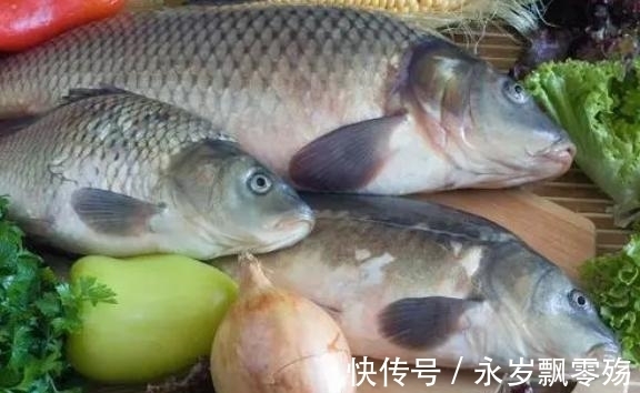 含有|常吃鱼对身体是好是坏?提醒:这3种鱼尽量少吃,不妨看看