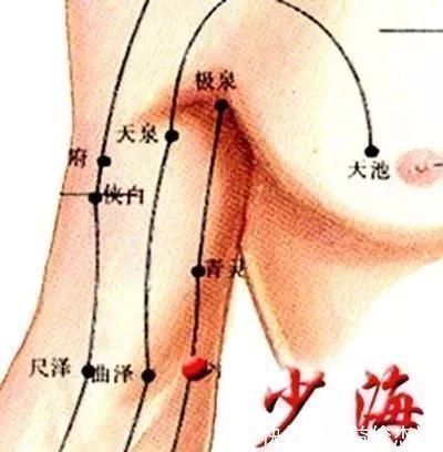 中渎穴|调理手颤、手麻、脚麻、面部神经麻痹，它们是立竿见影的必调穴