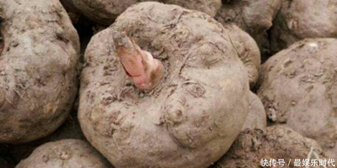 荞麦味|腿粗肚子大不好看，常吃这些碱性食物，慢慢瘦出小蛮腰