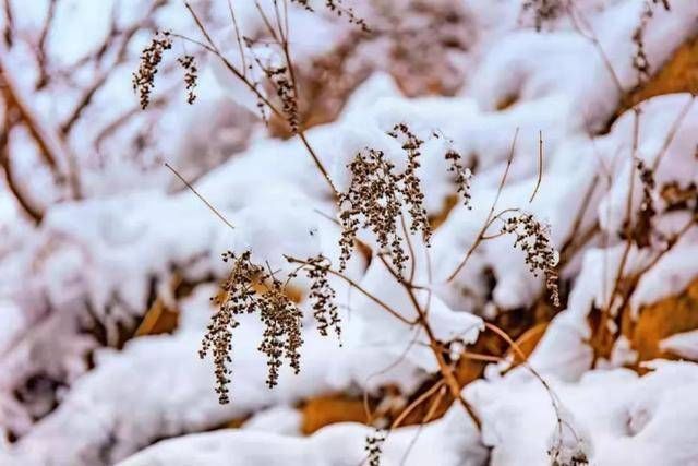 甘露泉|冬日限定！这处冰瀑奇观简直是现实版的“冰雪奇缘”，美出圈了