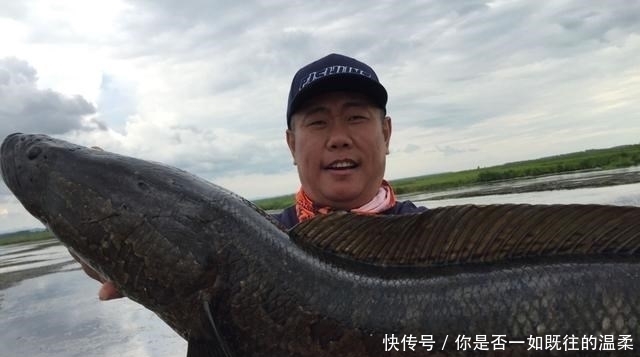 要素|夏季钓黑鱼4大要素:宜早晚、溜草边、钓草洞、勤行动