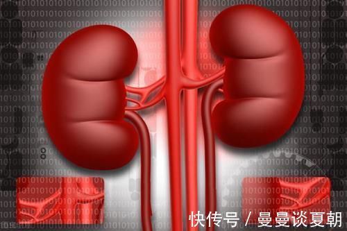 肾小球肾炎|肌酐高了，为什么有人能恢复正常、有人却进展到尿毒症？