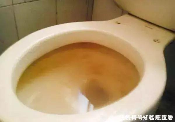 家里卫厕所异味太重,学会这招,一年四季都没有异味,真实用