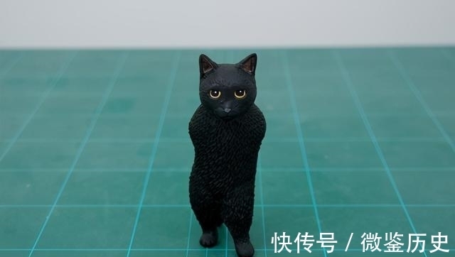 还原|全球的猫都想屏蔽这个日本人,他到底做了多少沙雕手办?
