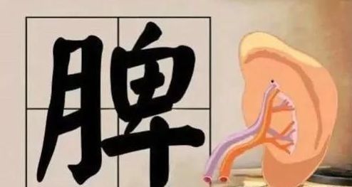 人体|孩子出现“5种异常”,说明脾胃“虚”了,家长别不在意