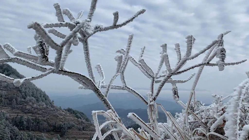 下雪天，凯里小高山的风景好美哦！