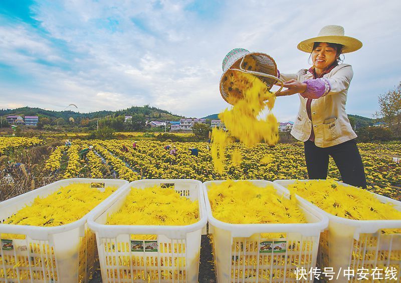 池州市 好山好水看池州