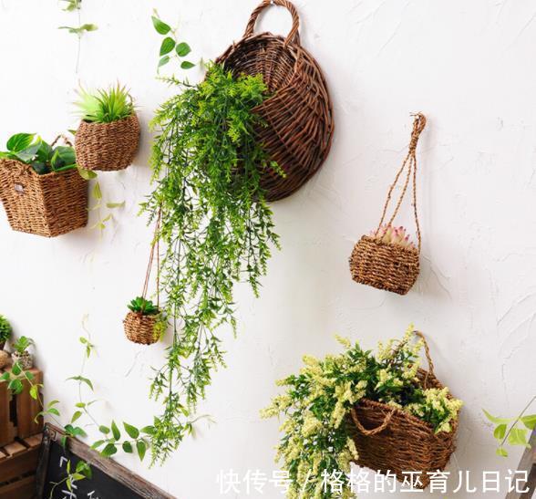 3个养花“小东西”,都是商家的智商税,花花养不好还浪费钱