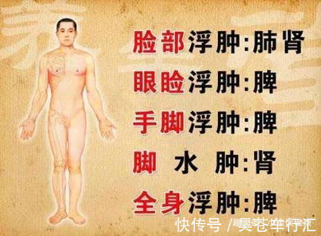 四白|脾虚比肾虚严重!脾虚才湿气重?去湿气最好的中成药你知道几个?