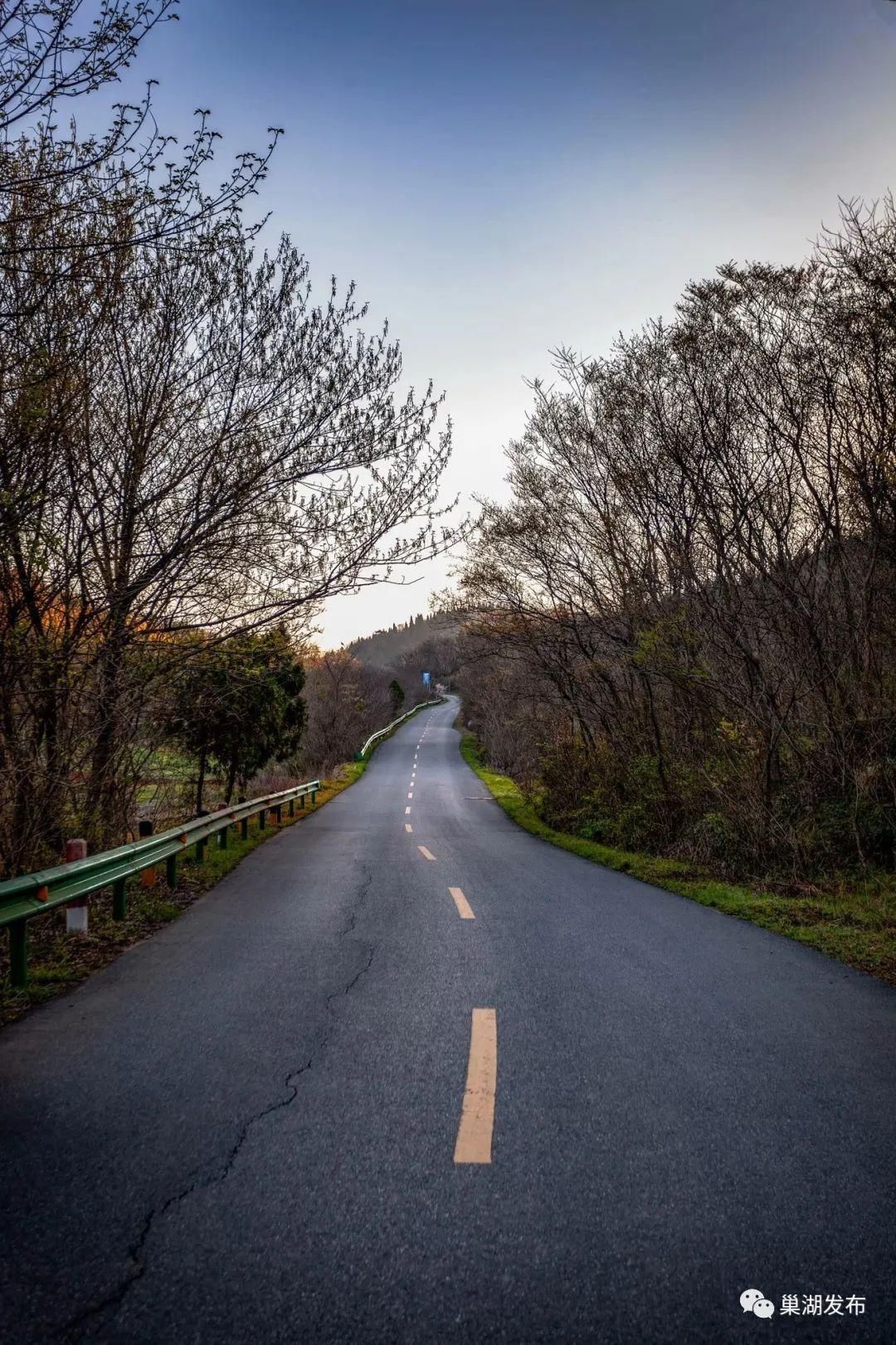 一到春天，巢北这条公路，美化得了