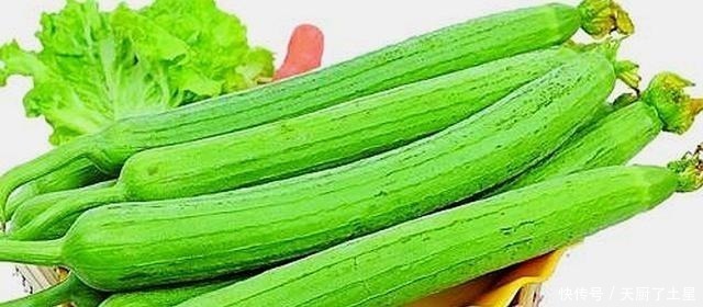 茶匙|同样是丝瓜,“有棱”和“无棱”差别这么大,看完后别再乱买了!