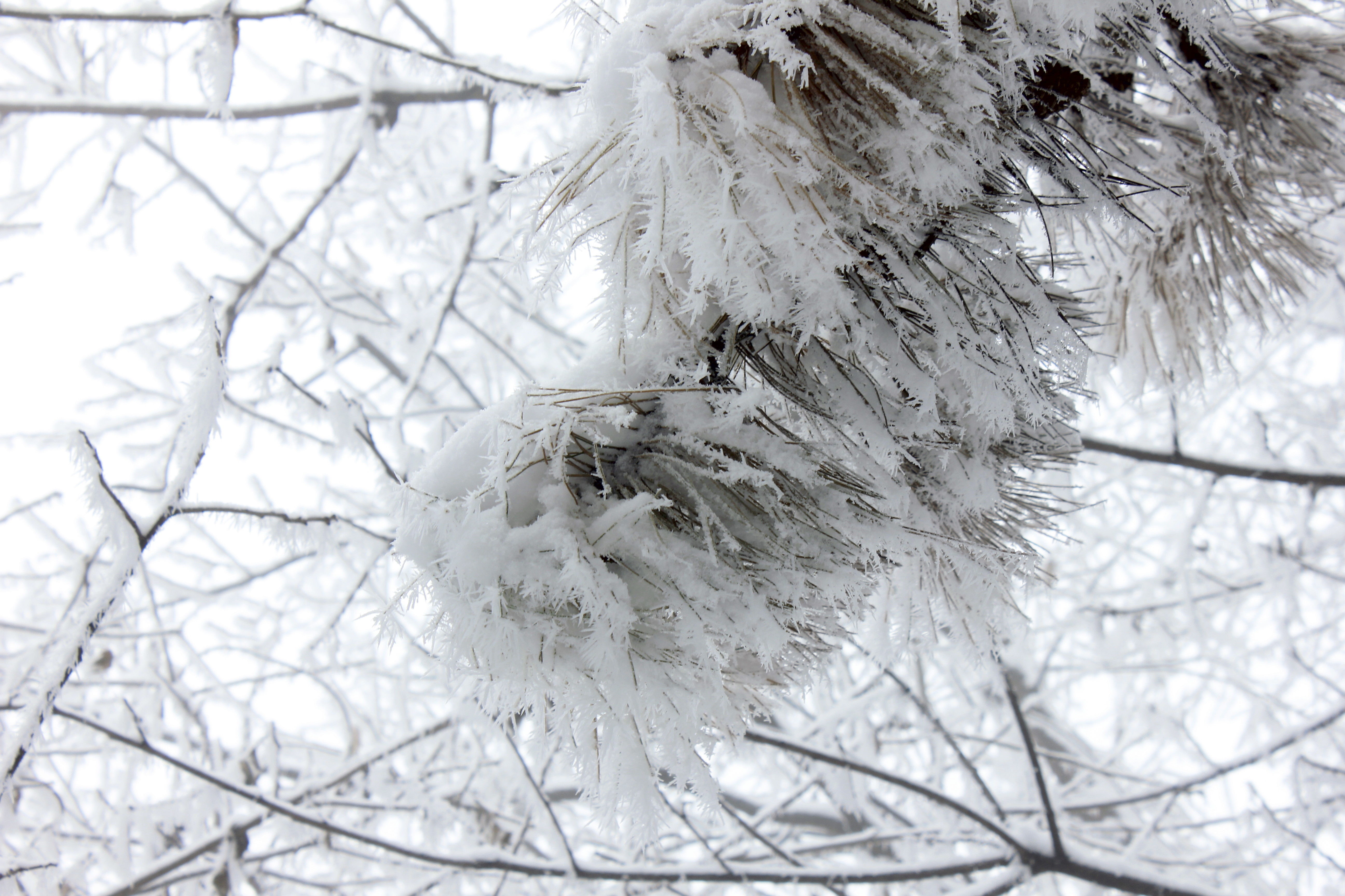 征集|【年末福利征集】雪后南五台幸遇云海